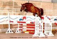 Ogrion des Champs (Kannan x Kara des Champs)